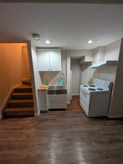 2 Bedroom Basement Suite with Tall Ceilings and Walk-In Closet