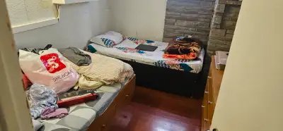 Shared Room for rent