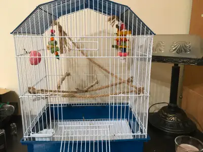 Bird cage/travel carrier, View more