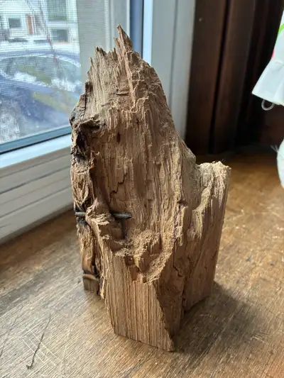 $12 Wood Burl paperweight art  Elmsdale Road Donlands firewood, View more