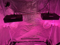 Grow Tents/Grow lights and accessories