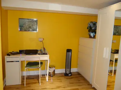Fully furnished room for rent for a student or a young professional, in a 3 bedroom basement apartme...
