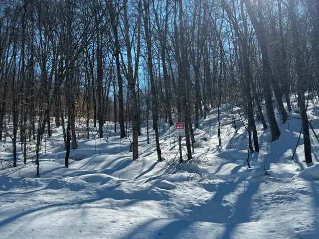 Terrain à vendre, Lac Supérieur Tremblant in Land for Sale in Laval / North Shore - Image 3
