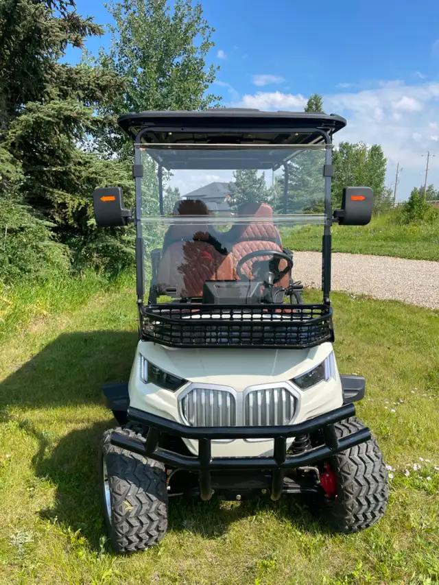 golf cart519880209744547842
