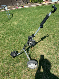 Golf Carts (pull cart) reduced to $55.00  EACH 