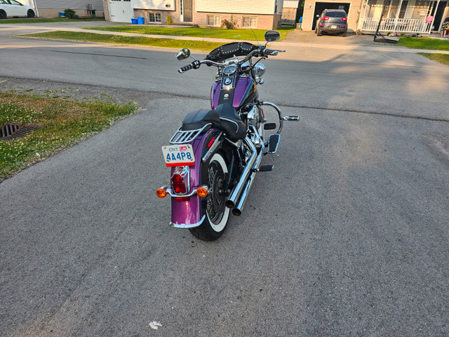 Harley Davidson  2011 Heritage Deluxe in Street, Cruisers & Choppers in St. Catharines - Image 3
