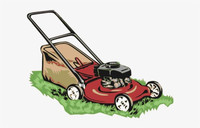 2024 Spring/summer lawn mowing