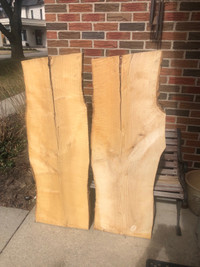 Live edge ash wood slab - 54”x20”x2”
