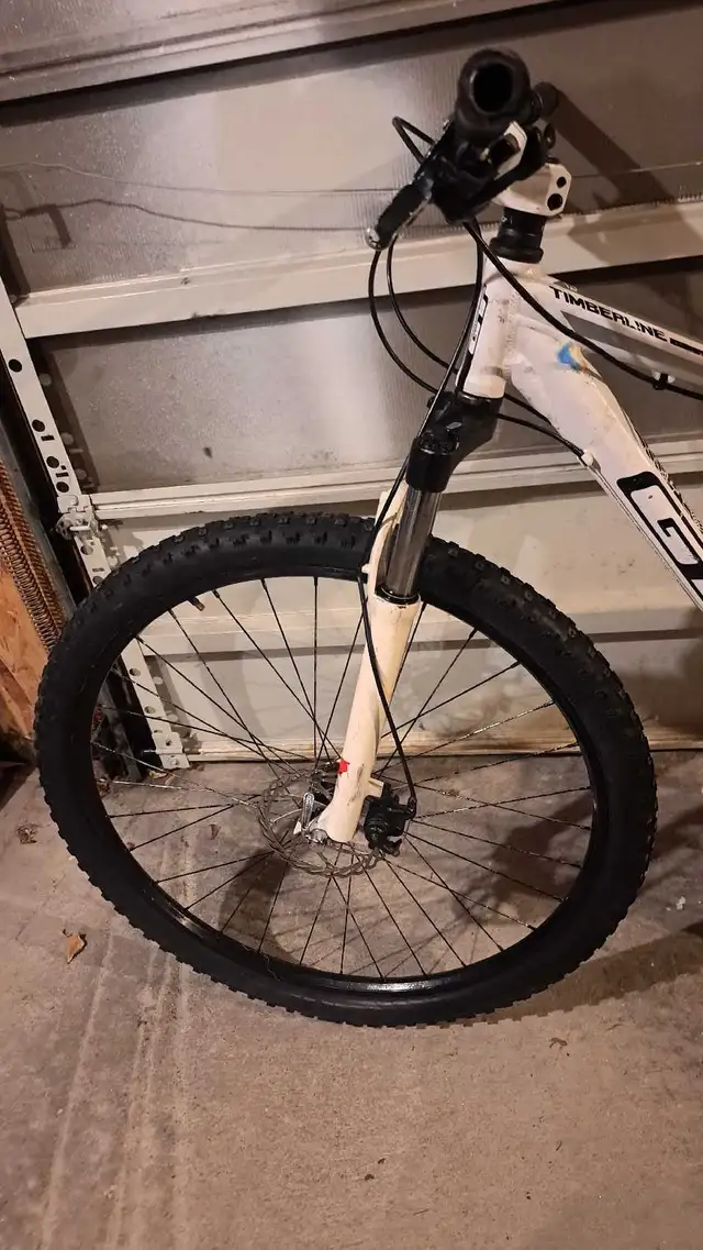 Selling GT mountain bike dual disc brakes | Mountain | Winnipeg | Free ...