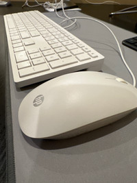 HP Keyboard and Mouse 