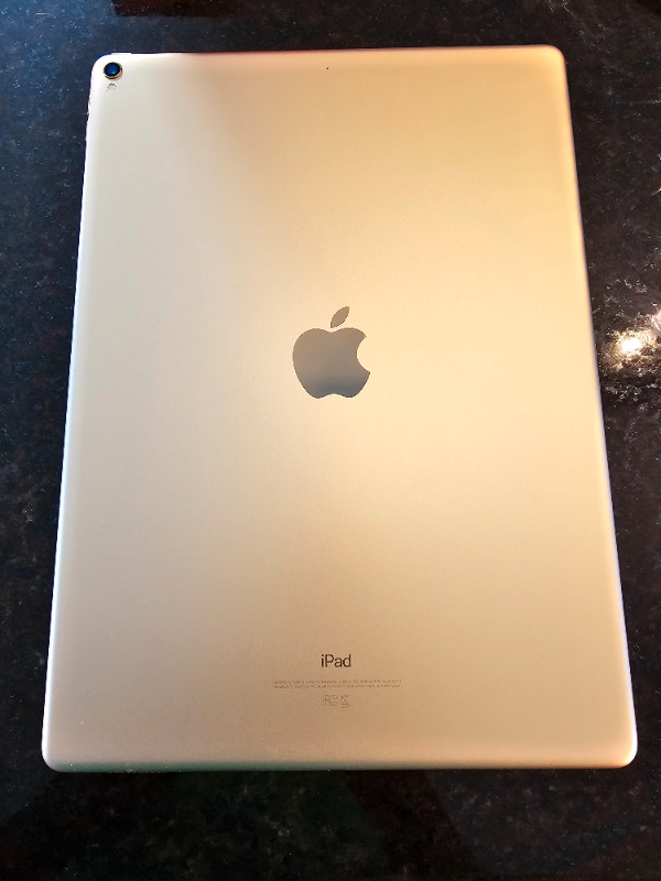 IPad Pro 12.9 inch (2nd Gen) + Apple pencil dans iPad et tablettes  à Sherbrooke - Image 4