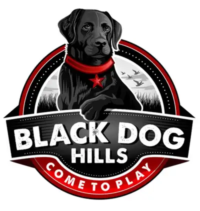 Need a logo, business card, vector, labels, website designed???, View more