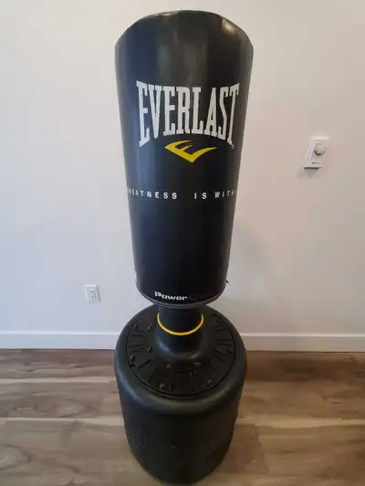 Punching/Boxing Bag, View more