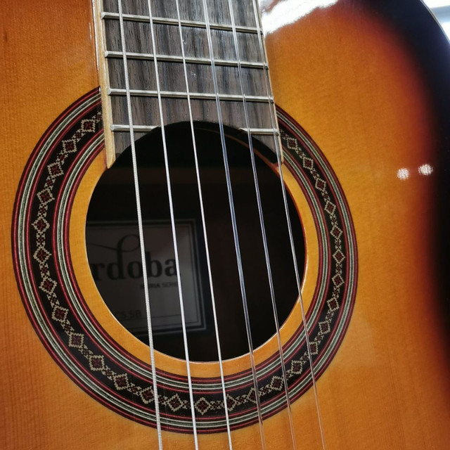 Cordoba C5-SB - Guitare classique dans Guitares  à Lévis - Image 4