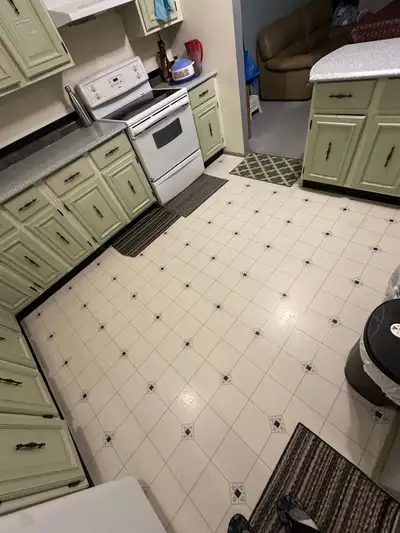 ALL UTILITIES INCLUDED. Near SAFEWAY SHOPPERS TIMIS A&W POPEYES AUTOPAC TD BANK. ETC (2’ m walk )))...
