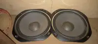 Pair 10 inch speaker driver