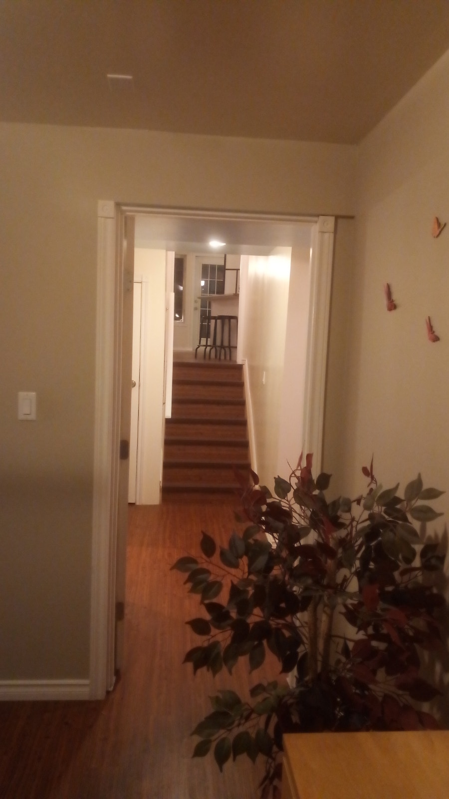 Spacious Split Level 1 Bedroom Basement with Storage & Fireplace 5