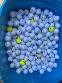 Used golf balls $0.20 each