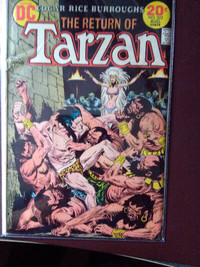 TARZAN DC # 222 - AUGUST 1973