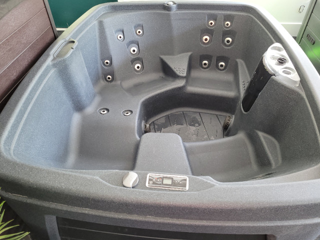 Premium Spas from $5395 (plug and play, hardwired, salt, swim) in Hot Tubs & Pools in Oshawa / Durham Region - Image 3