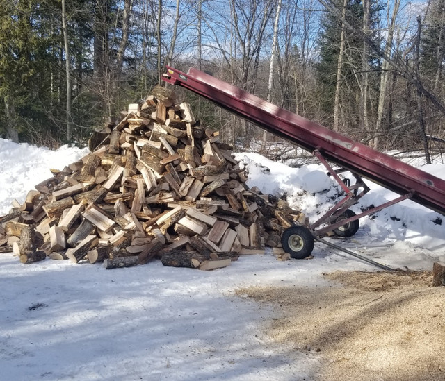 Firewood Processing/ Logs into Firwood On Site in Other in Trenton - Image 2