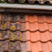 Expert Roof Maintenance Services - Keep Your Roof in Top Shape
