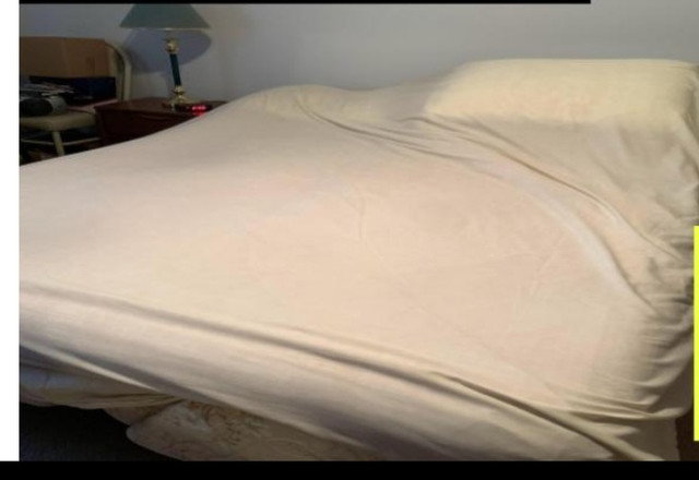 Electric adjustable bed in Beds & Mattresses in Belleville