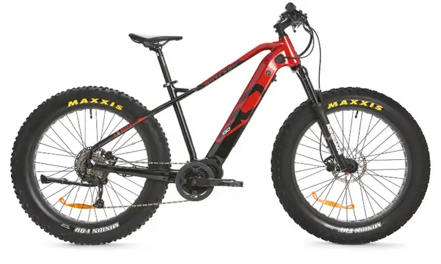 45% OFF! iGO Outland Torngat RS Mid Drive Electric Fat Bike62863733816577122