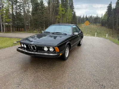 My daily driver , 260k, second owner. Was stored for 14 yrs previous to me. Runs great, just put ano...