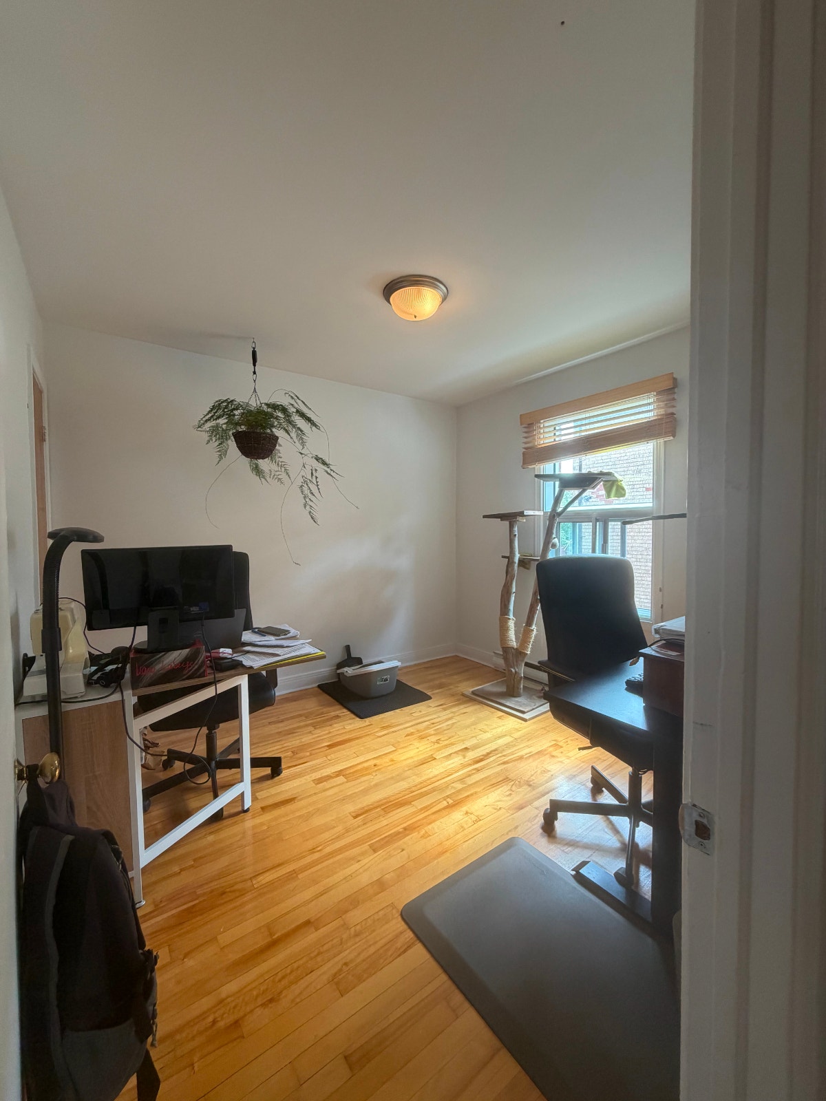 Grand 4 1/2 Villeray locataires de choix libre Nov 26 mois gratu — photo 3