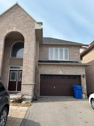 Bright walkout basement apartment 1 bedroom with large windows, separate entrance from back door, ca...