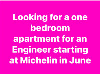 One Bedroom apartment wanted