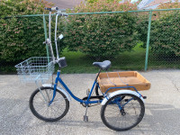 24” Adult Tricycle - 3 Speed