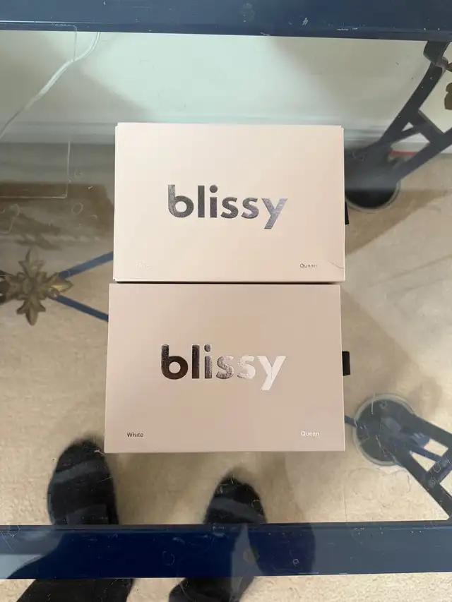 Blissy Mulberry Silk Pillowcases - Queen x2 in Bedding in Markham / York Region - Image 2