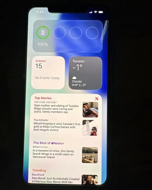 Apple IPhone 11 Pro Max 64 Gb in Cell Phones in Markham / York Region - Image 6