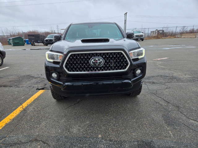 2019 Toyota Tacoma in Cars & Trucks in Dartmouth