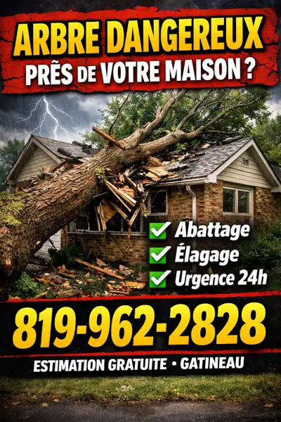 Paysagement ,abattage d’arbres,émondage,, View more