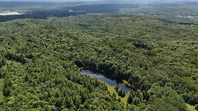 drone photography services63815784871297123