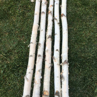 Birch poles