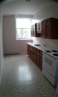 Large Bachelor Apartment Available June 1st