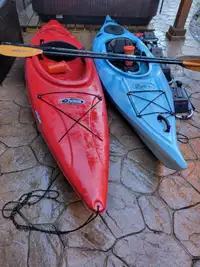 Kayaks, Paddles, Car racks and safety kits-Package Deal