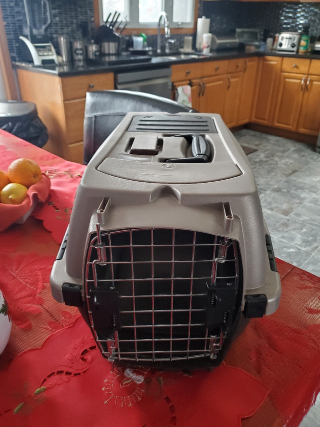 Tea cup puppy crate!  in Accessories in Kawartha Lakes