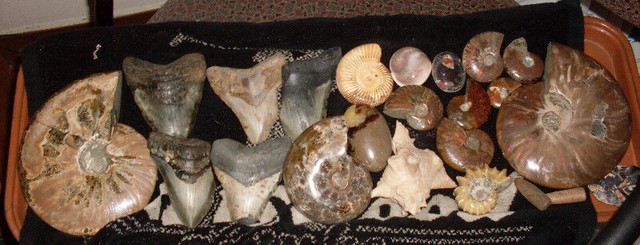 AWESOME ONLINE GARAGE SALE - Jewelry, Fossils, Crystals &MORE in Garage Sales in Winnipeg - Image 3