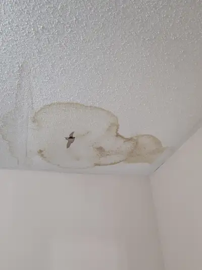 Popcorn Stucco CEILINGS and Drywall FIXED LIKE NEW!!, View more