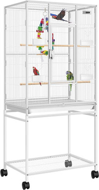 Lovebird and cage 
