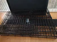 2 Dog Crates  MidWest iCrate 36" (Medium)