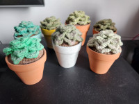 Handmade crochet succulent décor amigurumi / Cactus au crochet