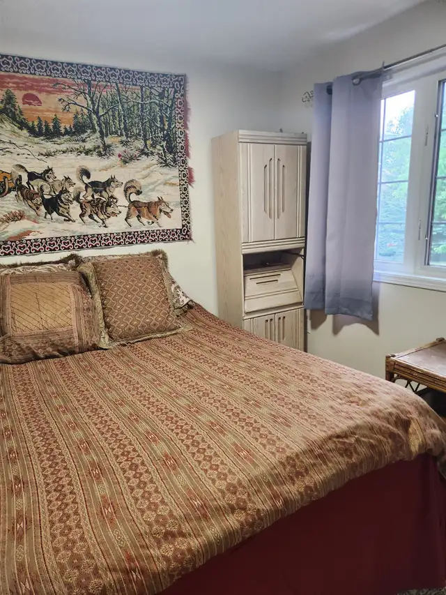Fully furnished room for rent in Room Rentals & Roommates in Ottawa - Image 4