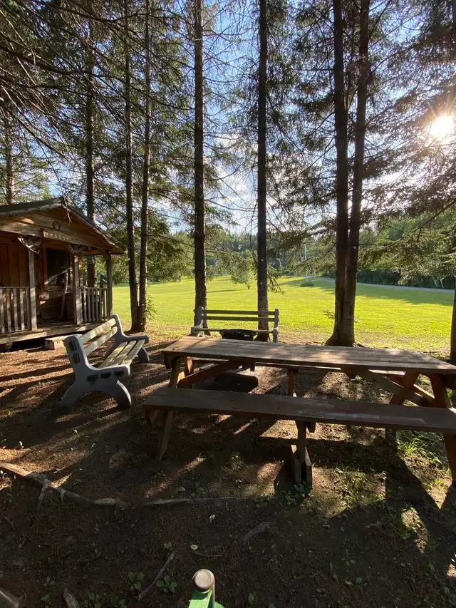 Country Living with just over 10 Acres in Houses for Sale in Vancouver - Image 11