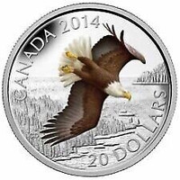 2014 $20 silver Soaring Bald Eagle, Coloured